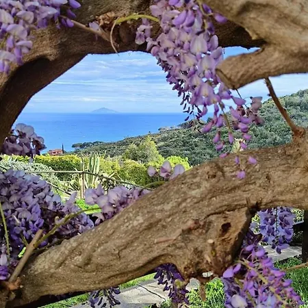 Sea View With Large Garden Villa