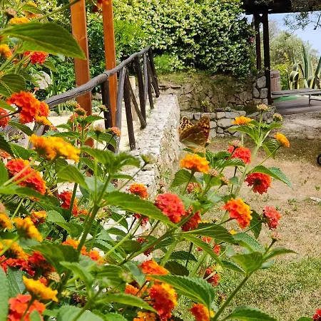 Sea View With Large Garden Villa *